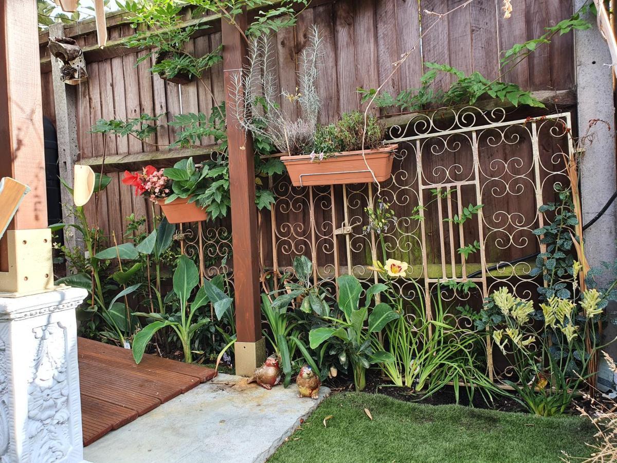 Lotus Pod House Homestay Horsell المظهر الخارجي الصورة